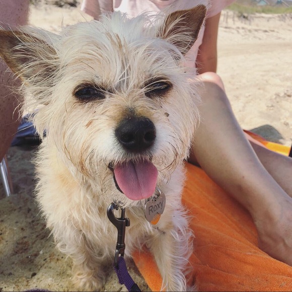 Hi!!! ☺️ - Picture 4 of 4